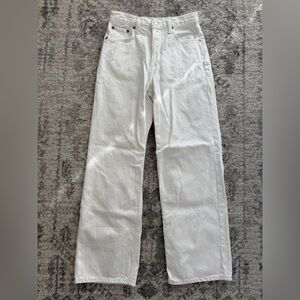 NWOT - Agolde Low Slung Baggy Jeans